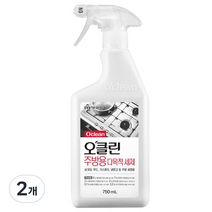 오클린 주방용 세정 스프레이, 750ml, 2개