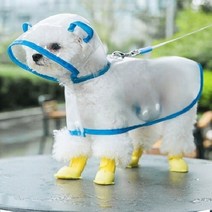 로커스 강아지 우비, 블루 베어