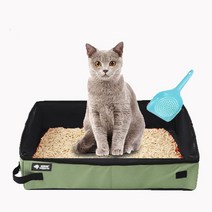 리젠스 고양이 휴대용 방수 접이식 모래 화장실 + 모래삽 세트, 그린(화장실), 랜덤발송(삽)