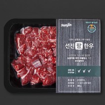 선진팜한우 사태 1등급 국거리용 (냉장), 300g, 1팩