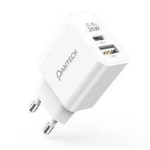 팬텍 PD 2포트 고속 멀티 충전기 25W, 화이트, 1개
