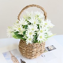 도시정원 조화 스파이더 데이지 꽃바구니, 크림
