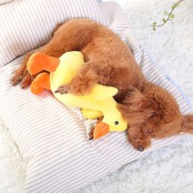 강아지 애착 오리 인형 장난감, 혼합색상, 1개