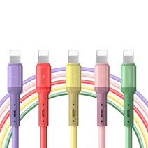 폼메이드 레인보우 아이폰 고속 충전케이블 GBS-IPC1000 5p, 레인보우(퍼플, 레드, 옐로우, 핑크, 그린), 1.5m