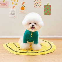 베니즈 반려동물 프렌즈 터틀넥 티셔츠, 그린
