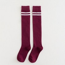 여성용 위드웍스 트렌디 컬러 종아리 패션 양말 2족 세트