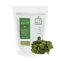 신선약초 뽕잎가루, 1개, 300g