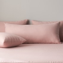 지베딩 디저트 마이크로화이바 워싱 2인 등쿠션, 파우더핑크