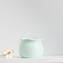 에나수 세렌디 화분 분갈이 홈데코 오브제 TC052, 그린