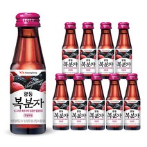 광동 복분자 음료, 100ml, 10개