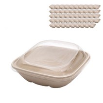 포장대장 일회용 펄프 사각 샐러드용기 + 뚜껑 186 x 186 x 66 mm 750ml, 50세트, 1개입