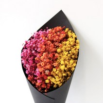 로맨틱노벰버 드라이플라워 프리저브드 미니 꽃다발 블랙, 안개꽃 믹스레드