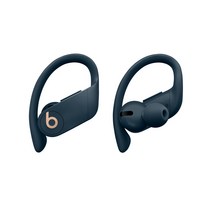 Apple Powerbeats Pro Totally Wireless 블루투스 이어폰, 네이비, MY592ZP/A