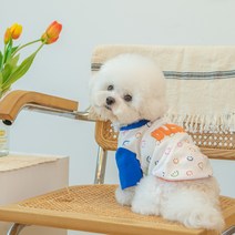 올치 반려동물 스마일 순면 스판 반팔 티 셔츠 TS6349, 화이트