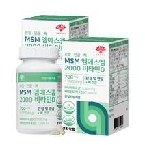 동화약품 관절 연골 뼈 MSM 엠에스엠 2000 비타민D 84g, 2개, 120정