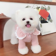 쁘띠도그 쁘띠프릴티 DT053, 핑크