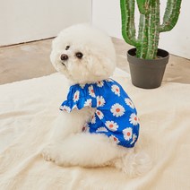 베니즈 반려동물 도로시 블라우스, 블루