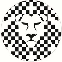 모노톤 기하학 패턴 원형 담요