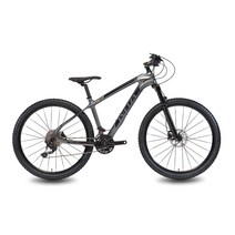 알톤스포츠 인피자 XZ4 MTB자전거, 다크그레이, 180cm