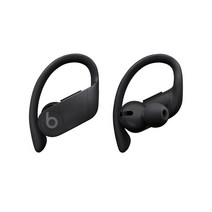 Apple Powerbeats Pro Totally Wireless 블루투스 이어폰, 블랙