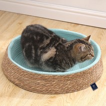 딩동펫 고양이 버드나무 둥지하우스 대형, 민트, 1개