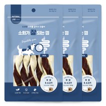 네츄럴랩 소화가 잘되는 껌 강아지 간식 100g, 3개, 우유 + 소고기 혼합맛