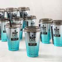 일동후디스 앤업카페 마일드 모카, 10개, 300ml