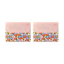 BT21 도큐먼트화일 5포켓, 핑크, 2개