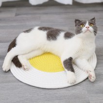 요기쏘 고양이 계란후라이 스크래쳐 패드, 옐로우, 1개