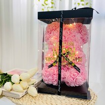 러블리팜 로즈베어 + 전용케이스 + LED전구 + 레터링 시트지 세트 백일 S, S사이즈, 핑크