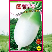 청두무 2000립 몸매좋고 맛좋은 김장용 저장용