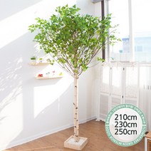 실내인테리어 인조나무 123종 / 플트 조화나무 C, C05.기본Y자형 자작나무 250cmK/벽면형