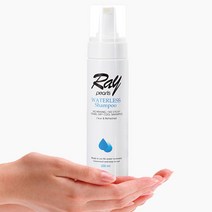 레이펄스 워터리스 샴푸 바디워시 물없이 감는 거품식, 옵션명, 레이펄스 워터리스 바디워시 500ml (리필)