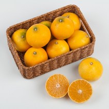 (최상품) 제주 제주도 황금향 귤 만감류 고당도 3kg 5kg 10kg 3키로 5키로 10키로 가정용 선물용 특상품, (8) 선물용 5kg내외, 1개