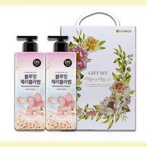 선물 세트 온더 바디 체리블라썸 워시 500ml 2개 건강 명절 거래처 단체 로션 설 동호회 답례 너리싱 생활 추석 #2029EO, 쿠팡 1, 쿠팡 본상품선택