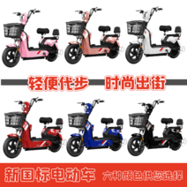 성인용 전동 스쿠터 전기 바이크 자전거 미니벨로 출퇴근