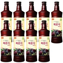 광야식품 복분자 베이스 970ml, 9개
