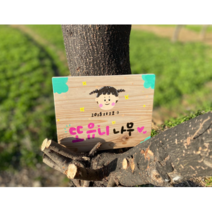 원목 캘리일러스트 팻말 (나무이름표 / 원목팻말 / 우드사인), 긴사각형, 글자+인물형, 쫄대형