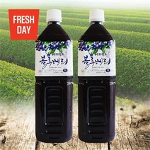 프레시데이 고창 베리월드 블루베리 원액 1L 2병, 2개, 블루베리 원액/1Lx2병