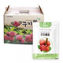 다다웰빙식품 케이셀러 꾸찌뽕즙 구지뽕즙 꾸지뽕즙 프리미엄 (마카분말함유) 100ml x 60포, 1박스