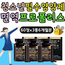 청소년 하루 필수 영양제 면역 항산화작용 프로폴리스 10대 성장기 고3 고등학생 환절기 겨울 면역력 에좋은 높이는 식품 음식 플로폴리스 폴리폴리스 프로플러스 포리폴리스 효능 추천