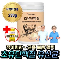 고칼슘 고농축 성장기 어린이 노인 초유단백질 유산균 분말 가루 분리 유청 단백질 헬스 보충제 아침 저녁 식사대용 프로틴 쉐이크 파우더 근육 강화 어른 분유 HACCP 유단백