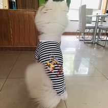 펫보스 강아지옷 중형견 대형견 면 스트라이프 올인원, 블랙스트라이프