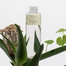 아크메르 베리어 워터 토너, 200ml, 1개