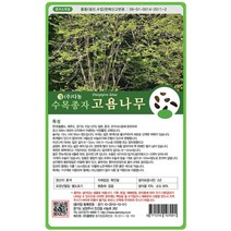고욤나무씨앗 30g 나무씨앗