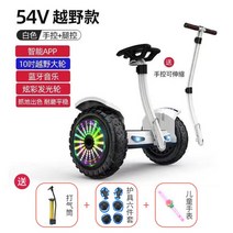 전동킥보드 성인 전기 킥보드 전기스쿠터 두 바퀴 지능형 균형 스쿠터 자기, [07] 10 INCH 54V