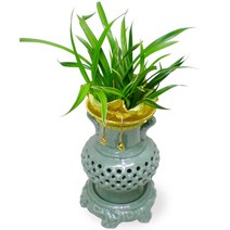 엔젤플라워 초특가할인 고급 동양란 서양란 BEST 개업 승진, A04 대국 투각분, 1개