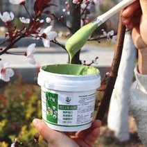 나무 접목 상처 연고 코팅제 톱신 페스트 도포제, Shennong Healing 250g 부동액 (브러시, 250g, 1개