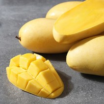 [후레쉬데이] 열대과일의 여왕! 필리핀 후레쉬 망고 1.25kg(6과), 상세 설명 참조