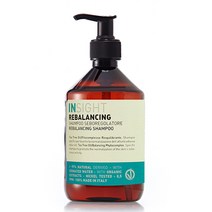 인사이트 리밸런싱 지성 샴푸 400ml, 단품